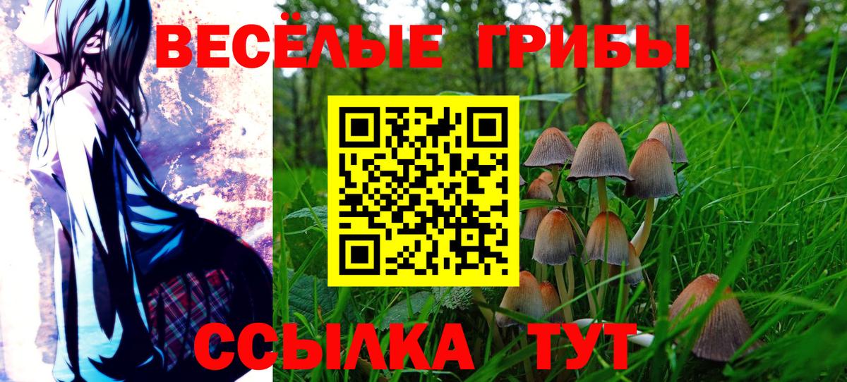 Галлюциногенные грибы прущие грибы  Вход с VPN  Сорочинск 