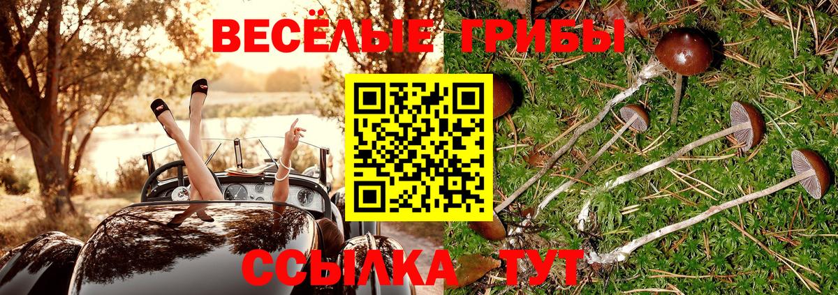 Галлюциногенные грибы Magic Shrooms Сорочинск